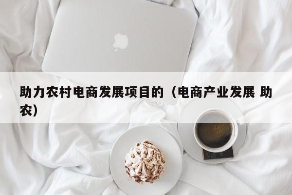 助力农村电商发展项目的（电商产业发展 助农）